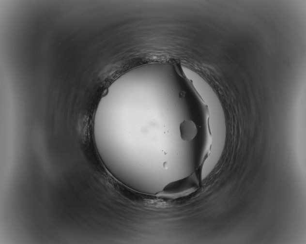 X0000086320511200704202024