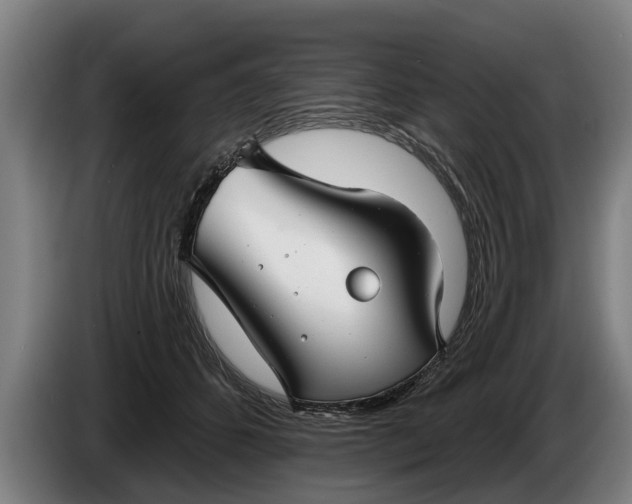 X0000086320512200704202024