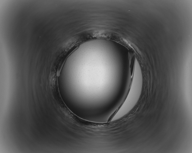 X0000086320513200704202024