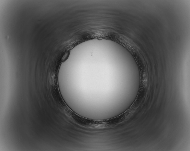 X0000086320514200704202024