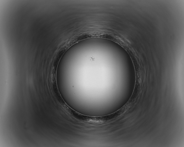 X0000086320515200704202024