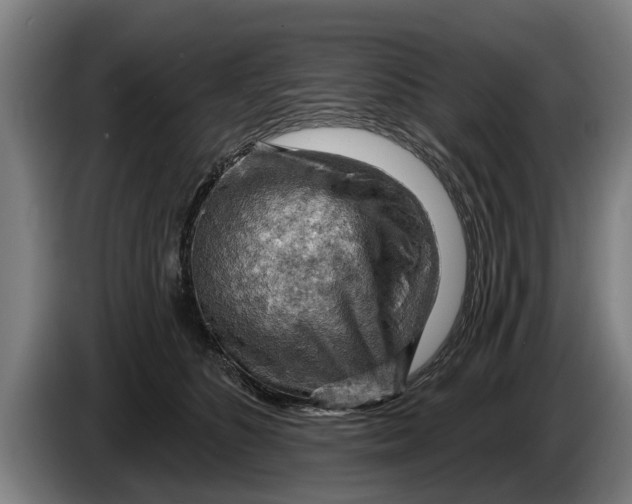 X0000086320516200704202024