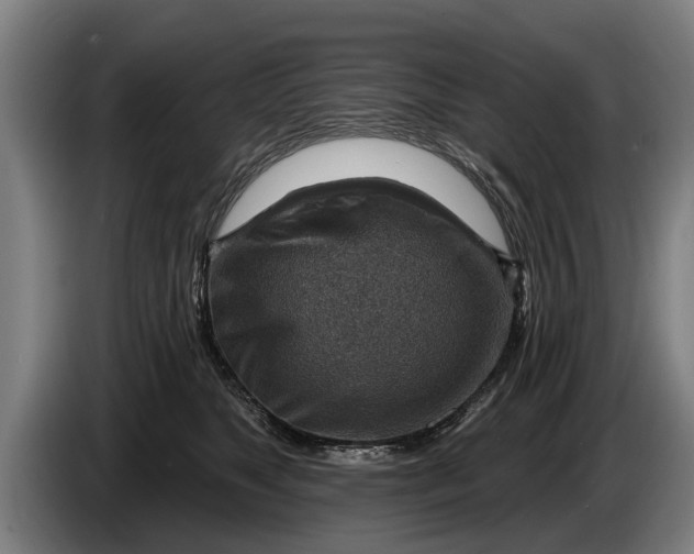 X0000086320517200704202024