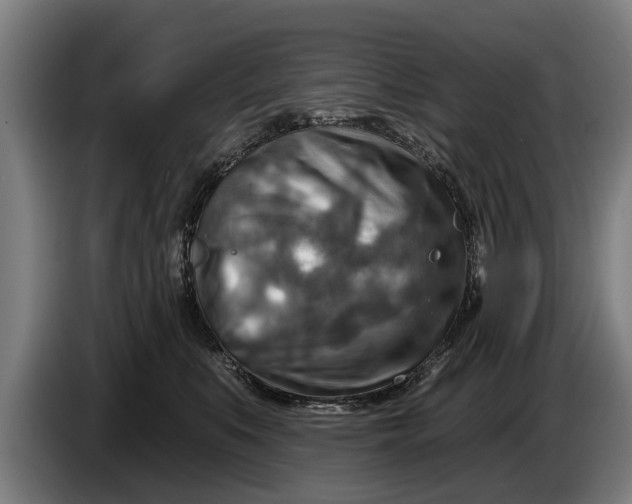 X0000086320519200704202024