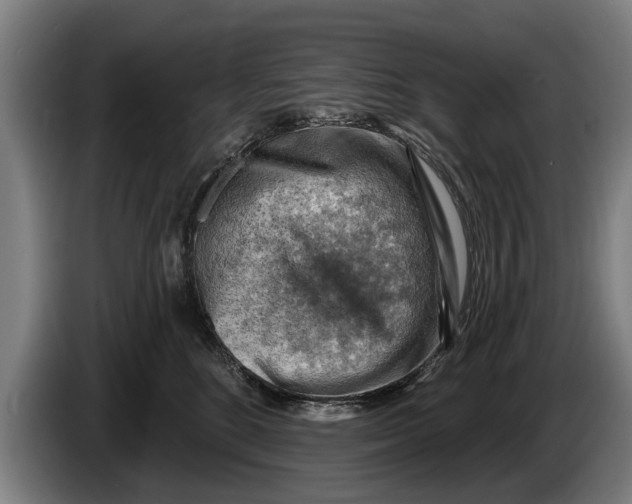 X0000086320520200704202024