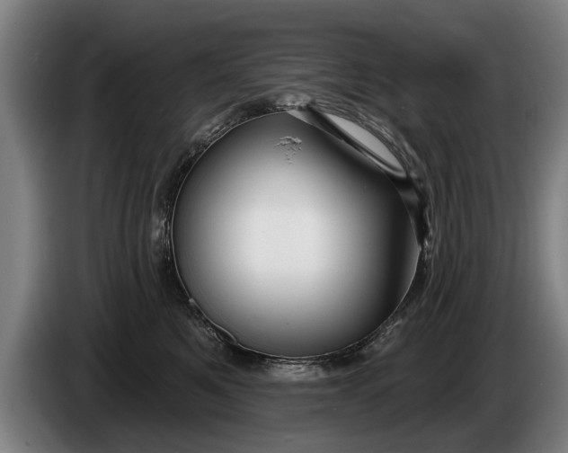 X0000086320521200704202024