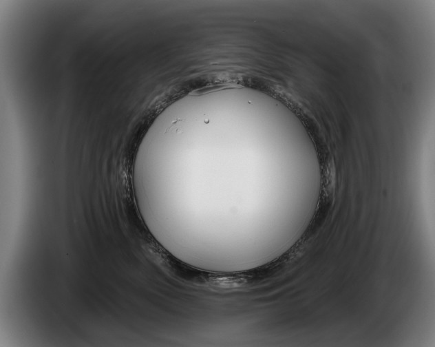 X0000086320522200704202024