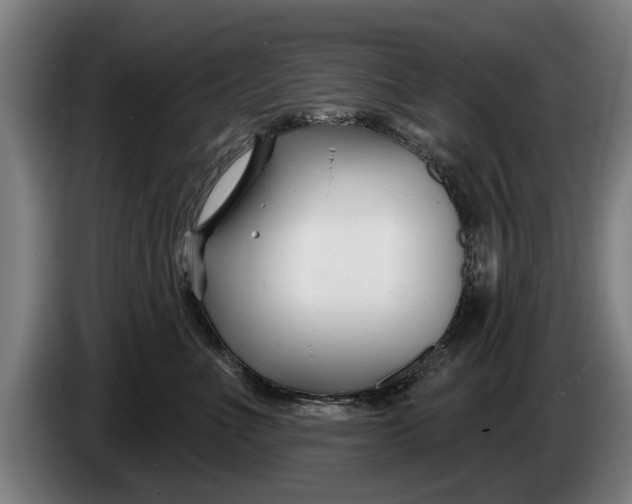 X0000086320523200704202024