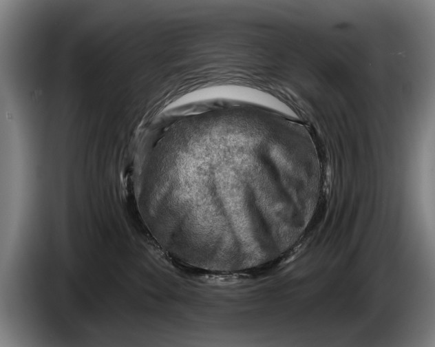 X0000086320524200704202024