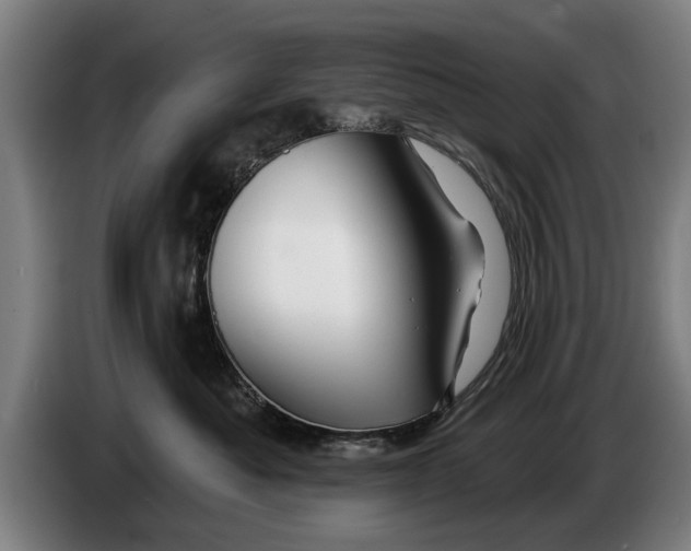 X0000086320525200704202024