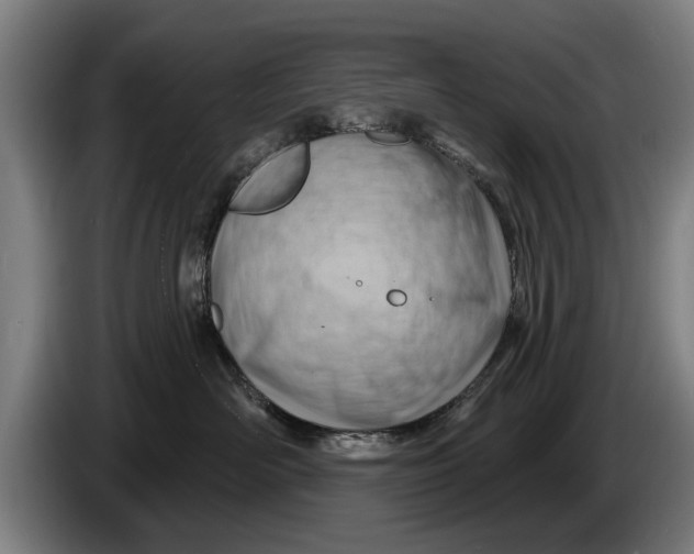 X0000086320526200704202024