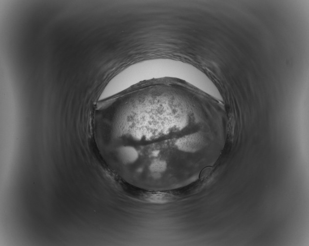 X0000086320527200704202024