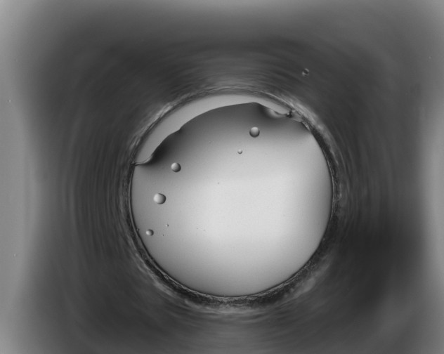 X0000086320529200704202024