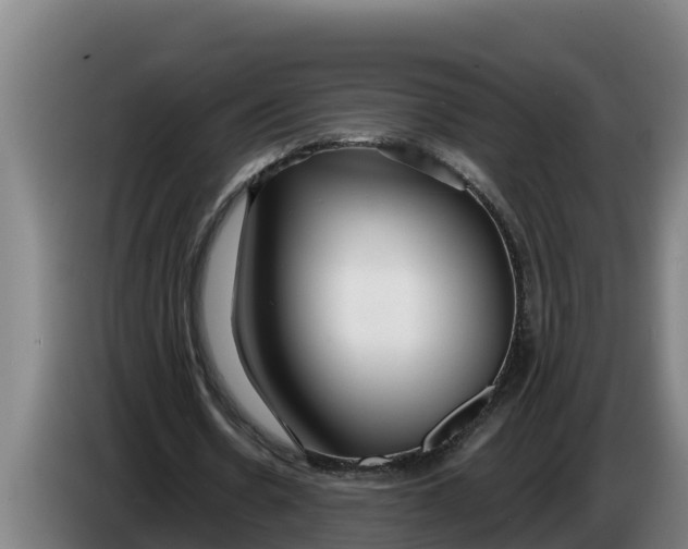 X0000086320530200704202024