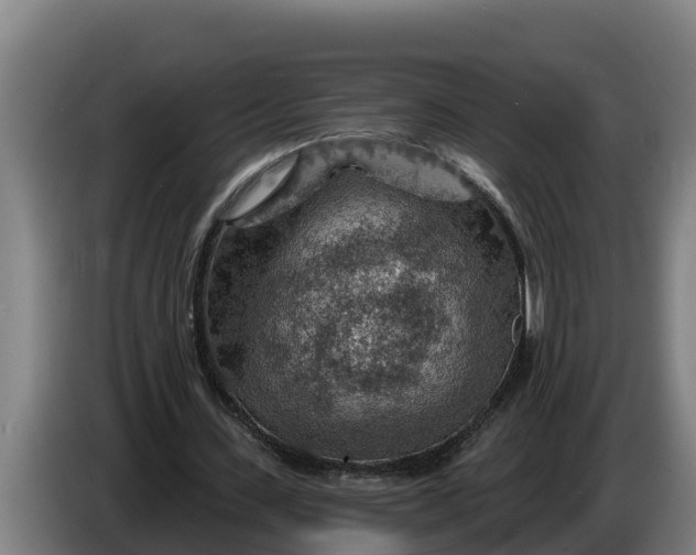 X0000086320531200704202024