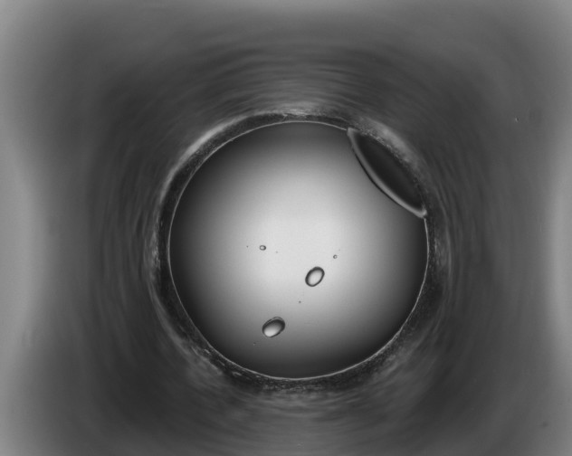 X0000086320532200704202024