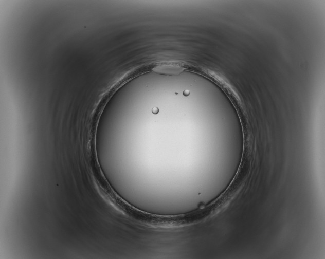 X0000086320533200704202024