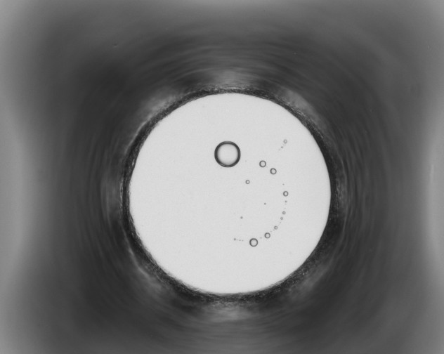 X0000086320534200704202024