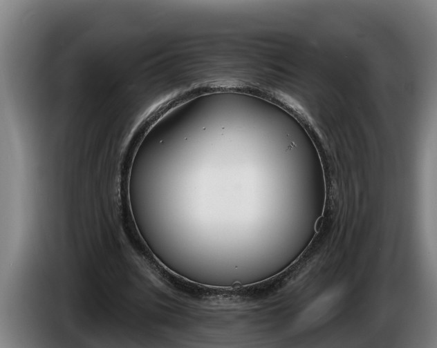 X0000086320535200704202024