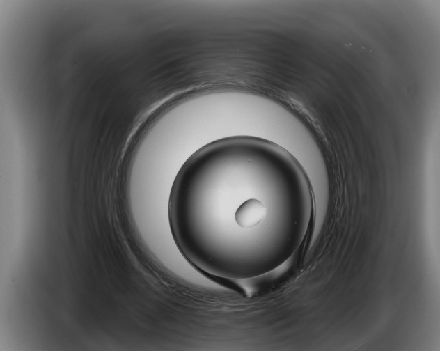 X0000086320536200704202024