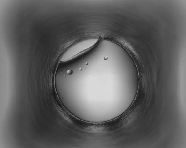 X0000086320537200704202024