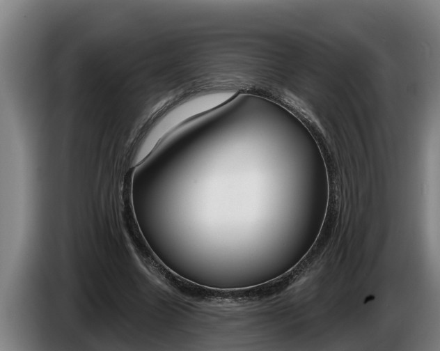 X0000086320538200704202024