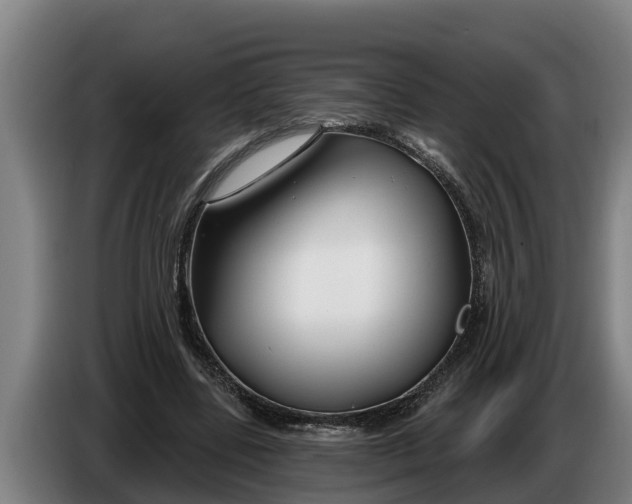 X0000086320539200704202024