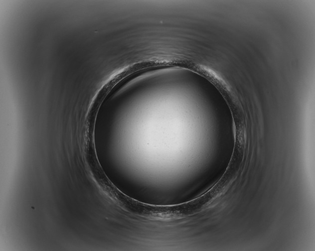 X0000086320540200704202024