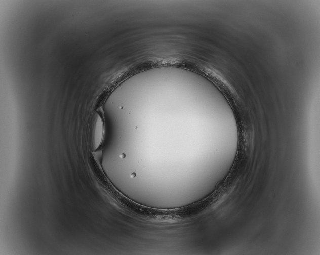 X0000086320541200704202024