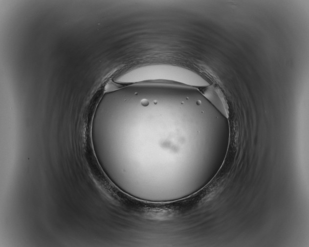 X0000086320542200704202024