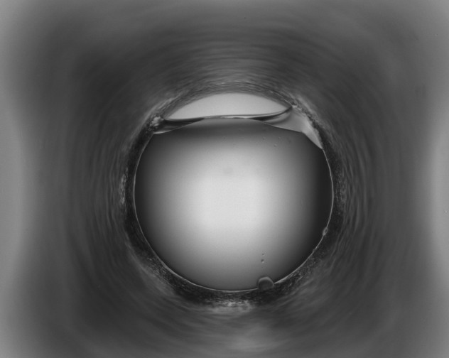 X0000086320543200704202024