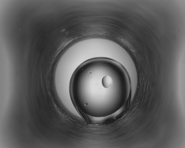 X0000086320544200704202024