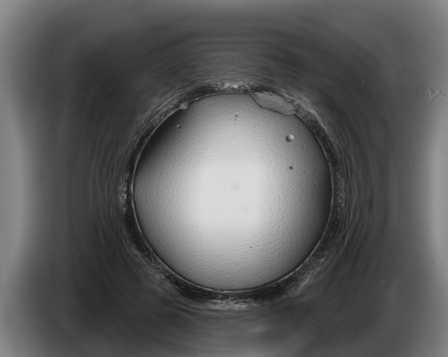 X0000086320545200704202024