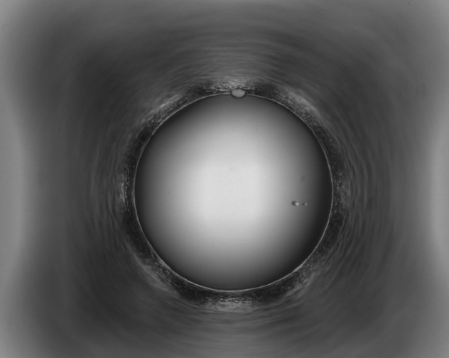 X0000086320546200704202024