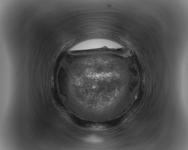 X0000086320547200704202024