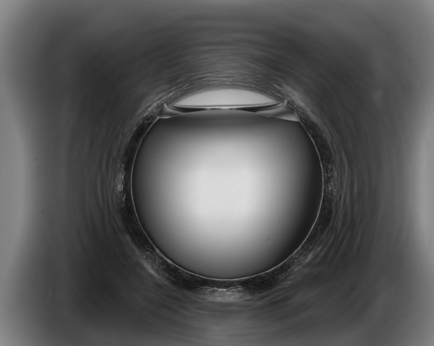 X0000086320548200704202024