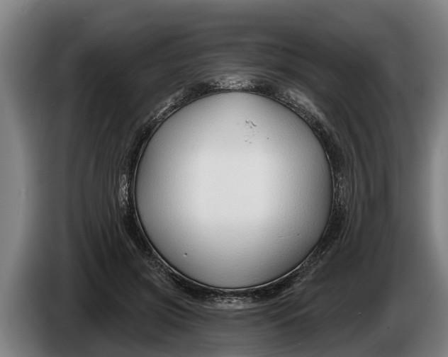 X0000086320549200704202024