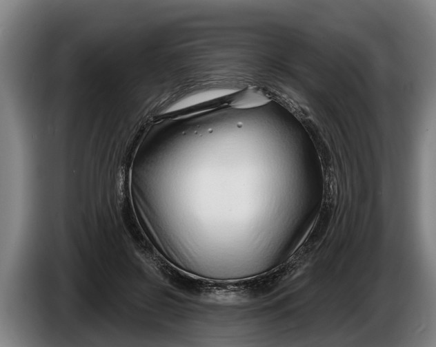 X0000086320550200704202024