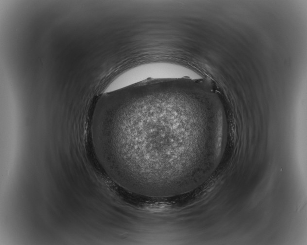 X0000086320551200704202024