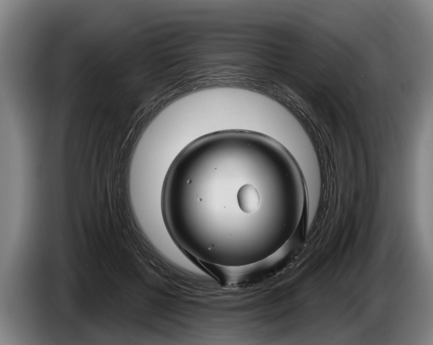 X0000086320552200704202024