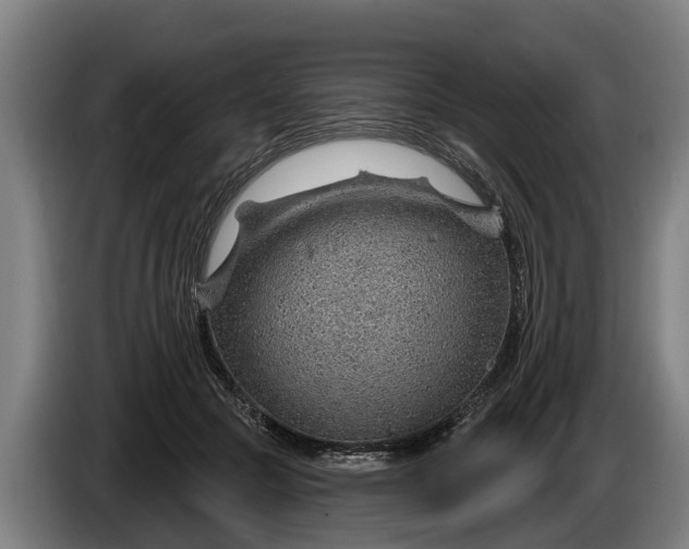 X0000086320553200704202024