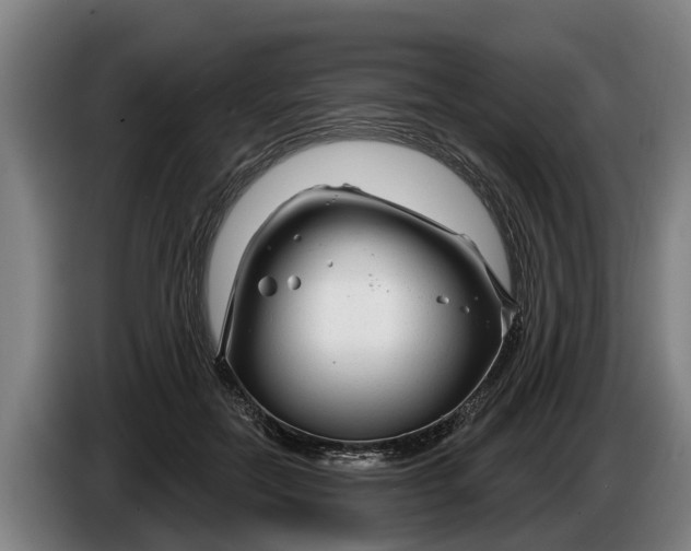 X0000086320554200704202024