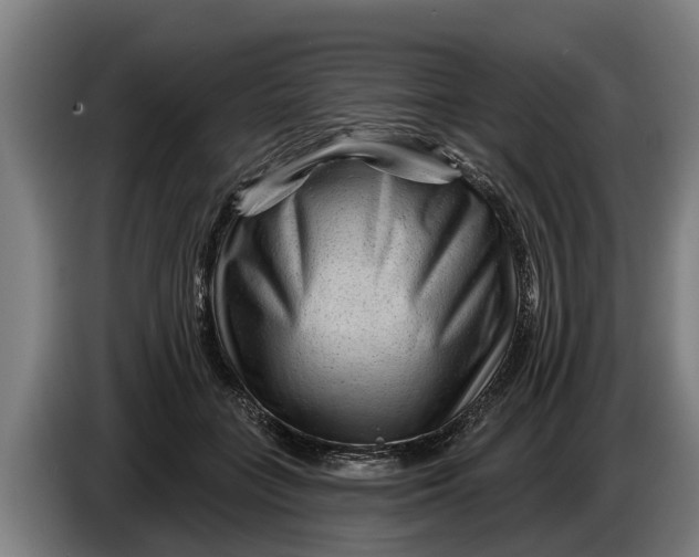 X0000086320555200704202024