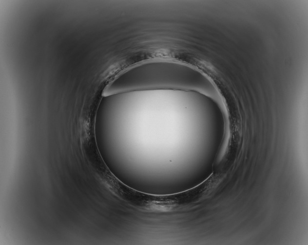 X0000086320556200704202024