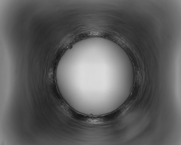 X0000086320557200704202024