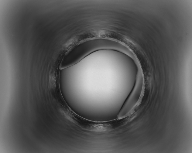 X0000086320558200704202024