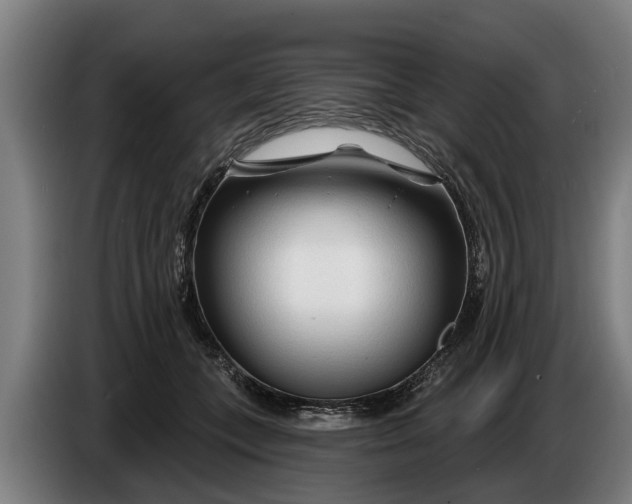 X0000086320559200704202024