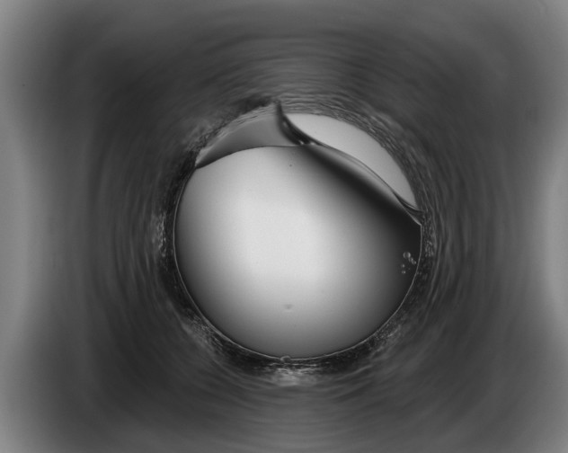 X0000086320560200704202024