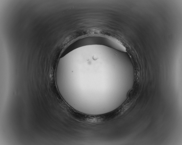 X0000086320561200704202024