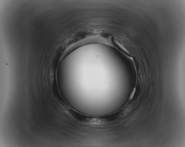 X0000086320562200704202024